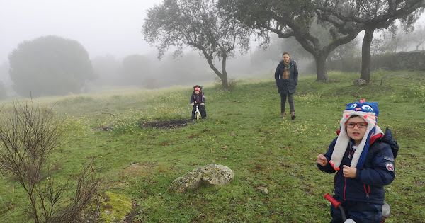 2020: Wifre 3, Enzo 2 y continuará