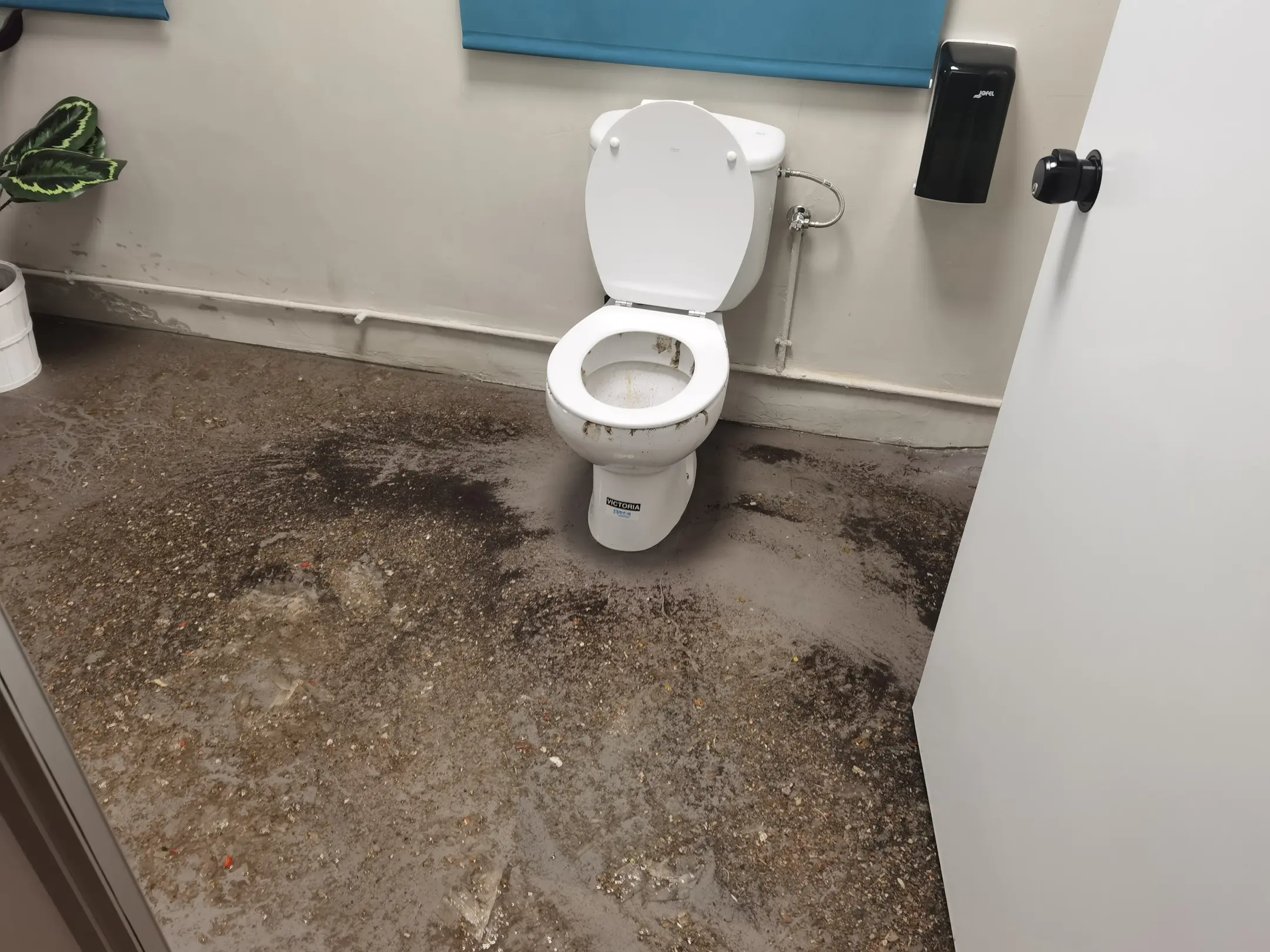 toilet(0.91)