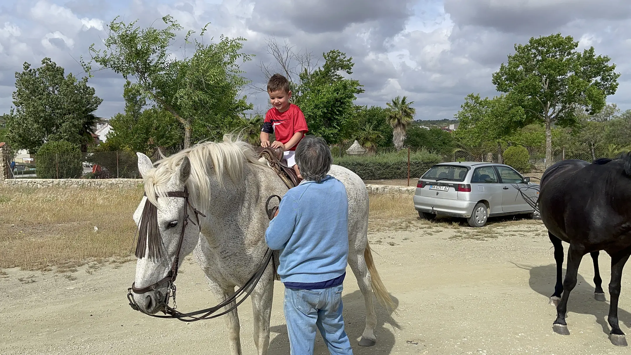 car(0.90), person(0.88), cow(0.79), person(0.79), horse(0.65)