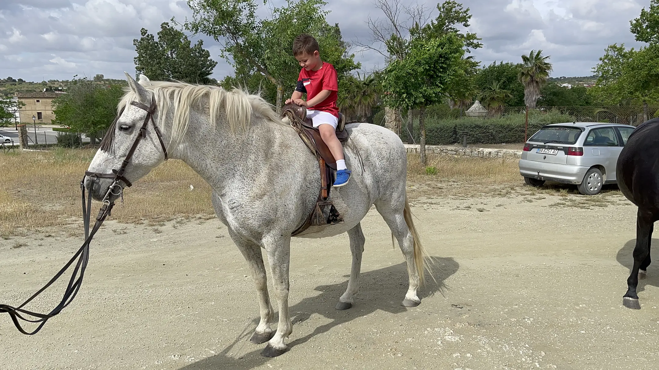 horse(0.93), car(0.90), person(0.81)