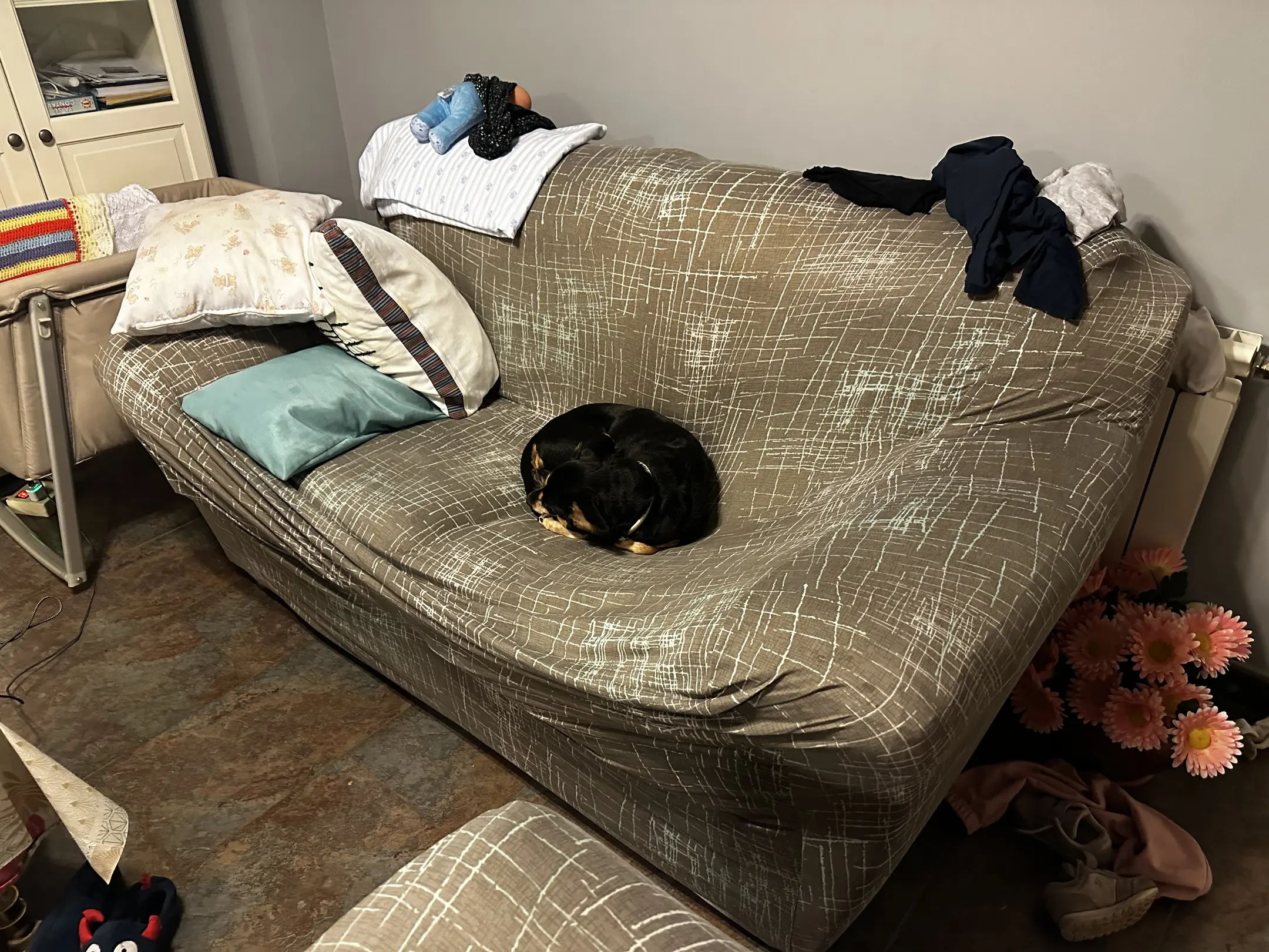 couch(0.81), dog(0.52)