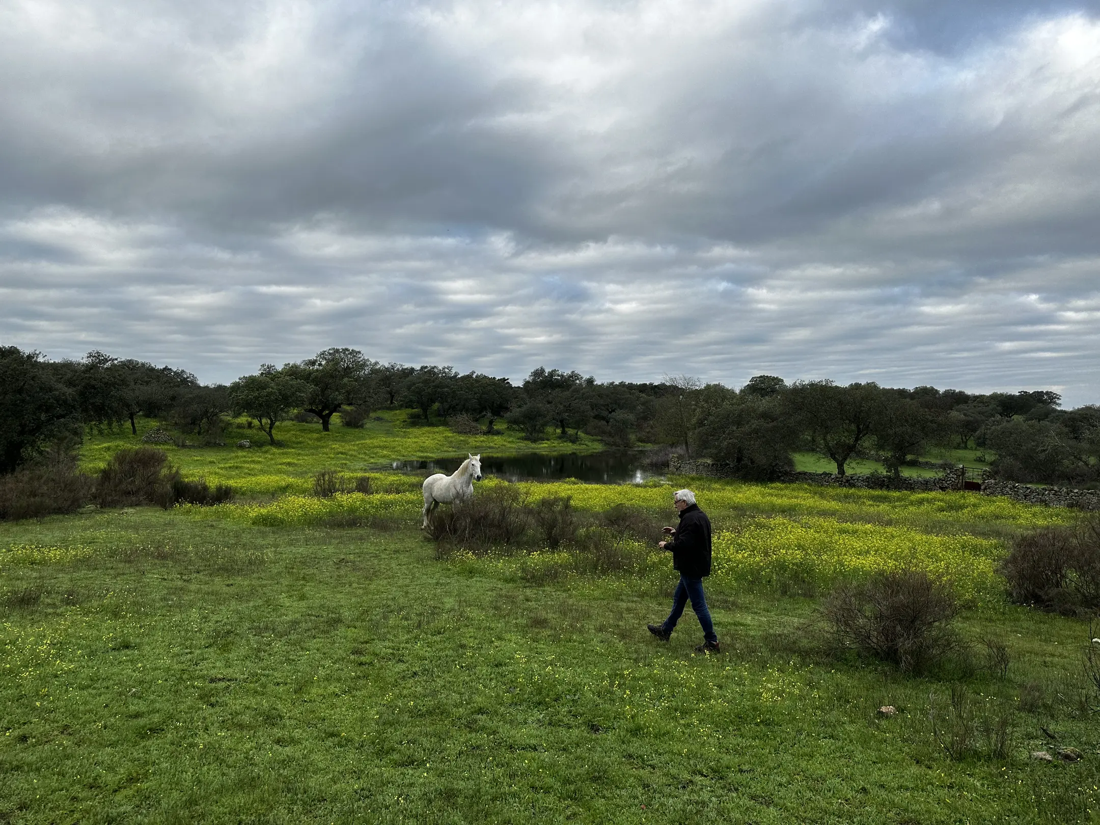 person(0.87), sheep(0.74)