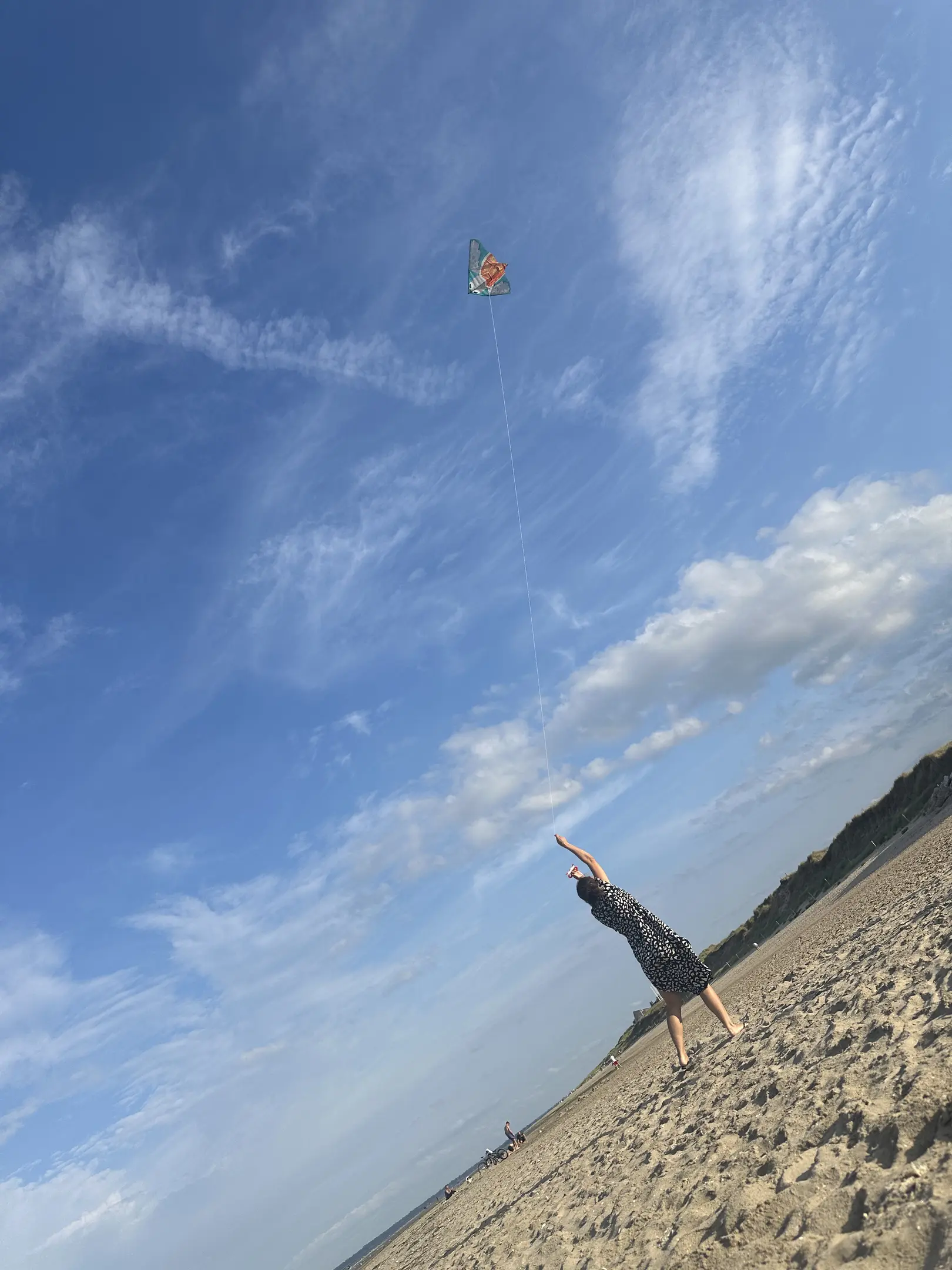 person(0.78), kite(0.75)