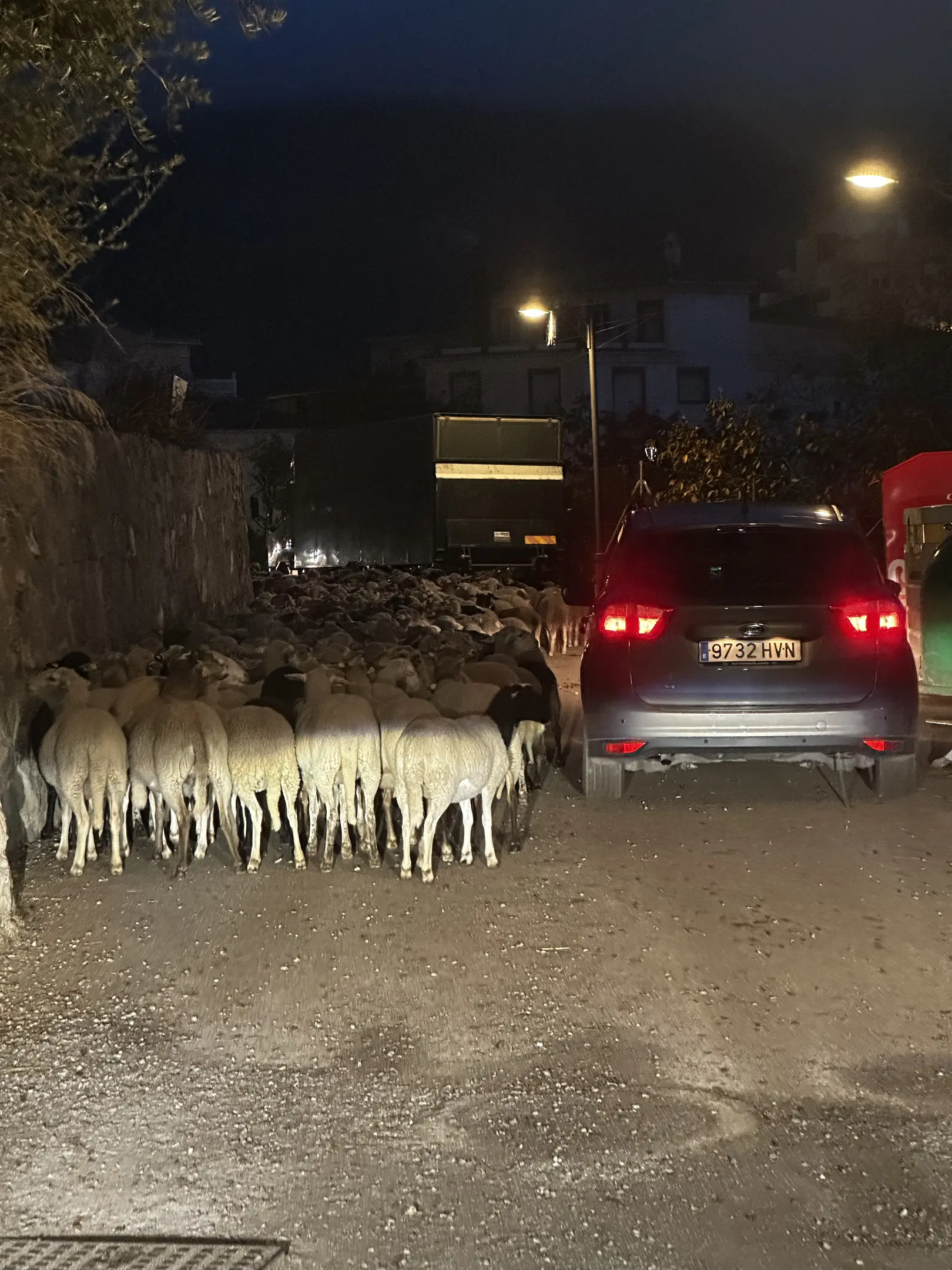 car(0.92), sheep(0.79), sheep(0.74), sheep(0.70), sheep(0.69), sheep(0.65)